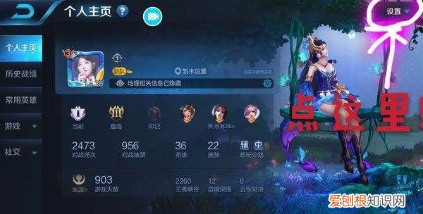 王者荣耀账号id怎么看，王者荣耀怎么才可以查充值记录