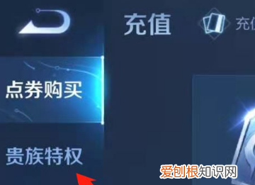 王者荣耀账号id怎么看，王者荣耀怎么才可以查充值记录