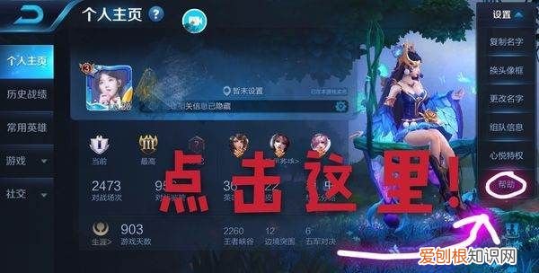 王者荣耀账号id怎么看，王者荣耀怎么才可以查充值记录