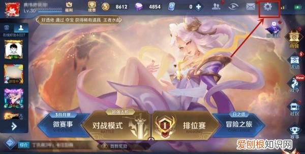 王者荣耀账号id怎么看，王者荣耀怎么才可以查充值记录