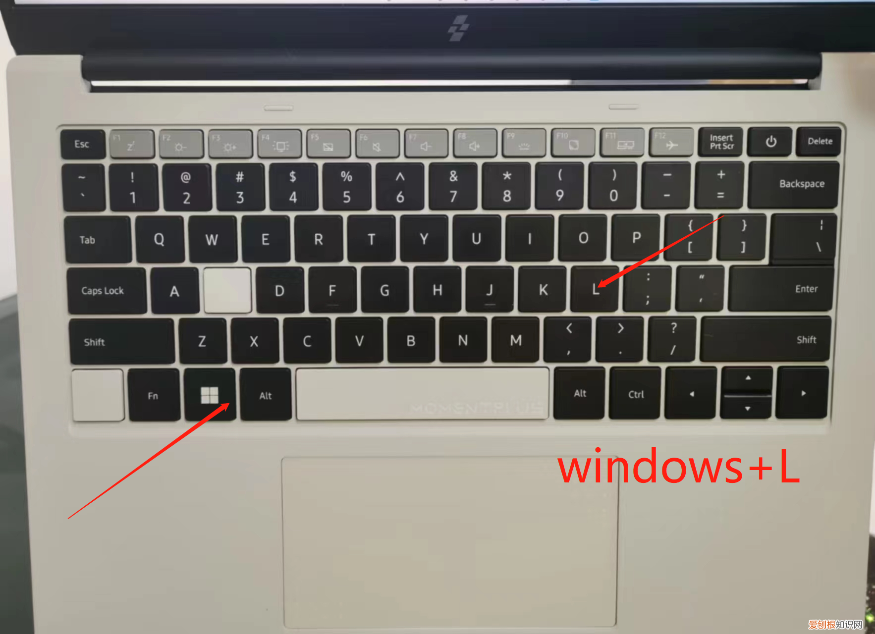 办公技巧每日一分享