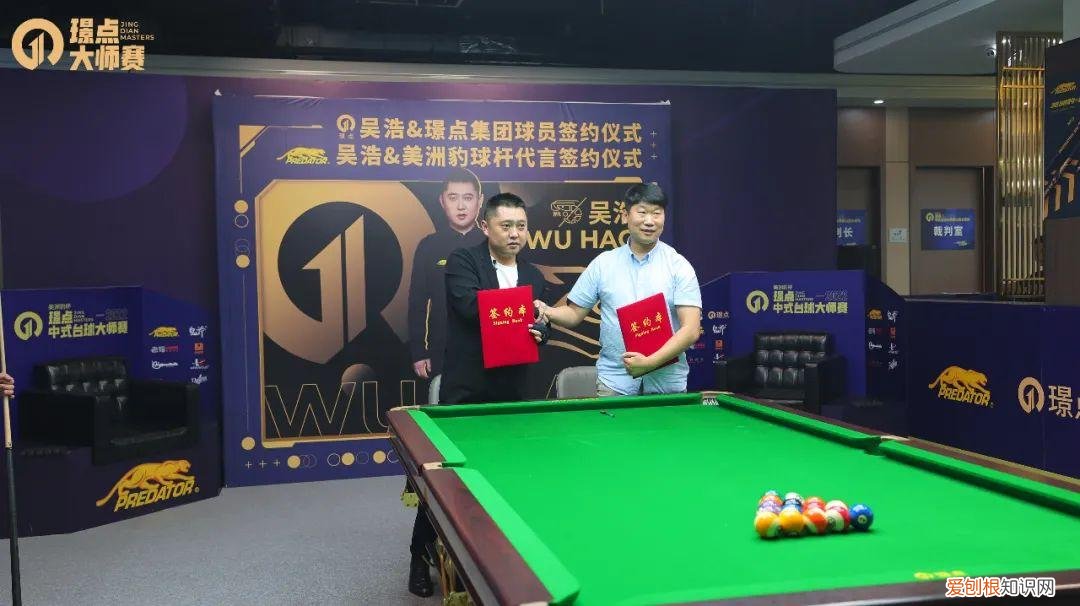 美洲豹p3一共有几款