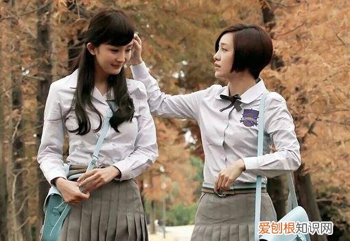 叶传萍为什么不喜欢顾里