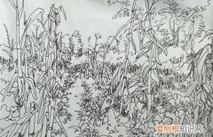 丰收的画简单又漂亮，玉米地怎么画既简单又好看