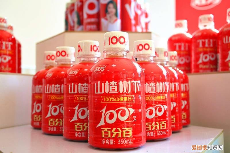 蜜雪冰城饮品大全