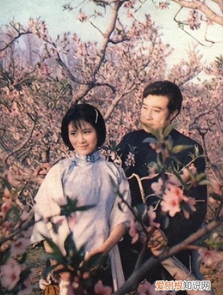 伤逝 鉴赏