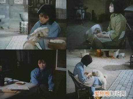 伤逝 鉴赏