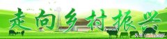 清明粑粑怎么做