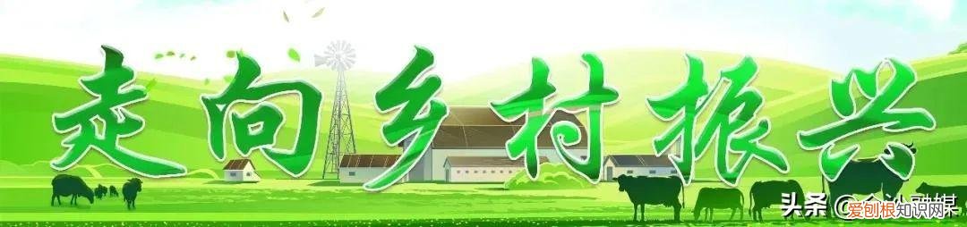 清明粑粑怎么做