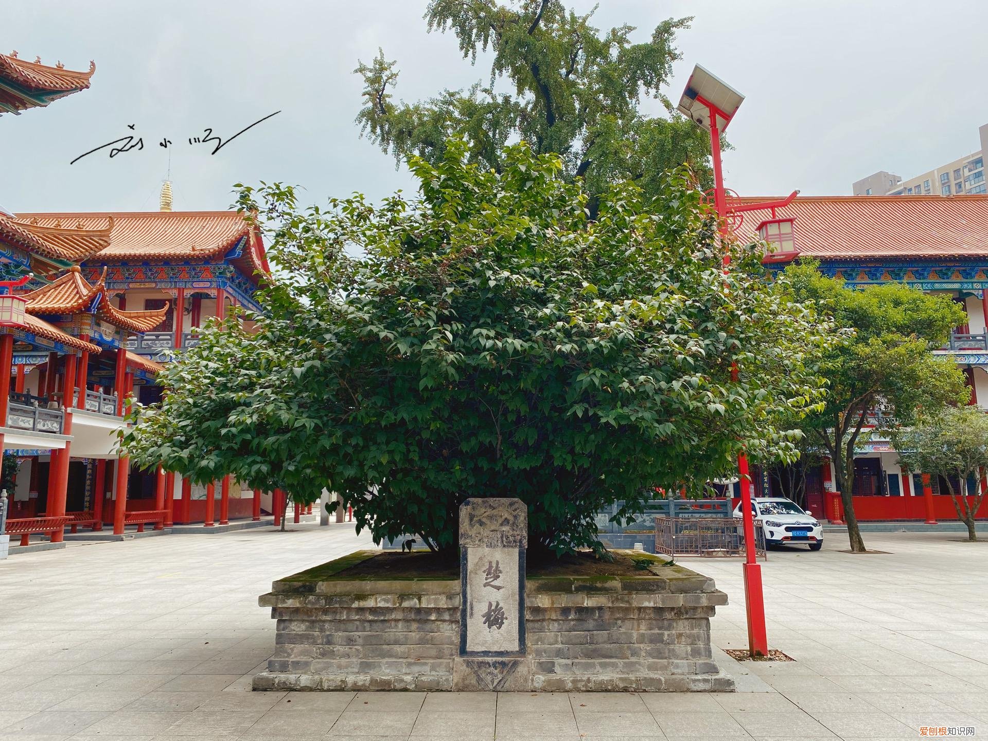 当阳玉泉寺