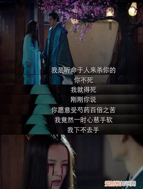 媚者无疆作者还写过啥，媚者无疆男主为什么背叛女主