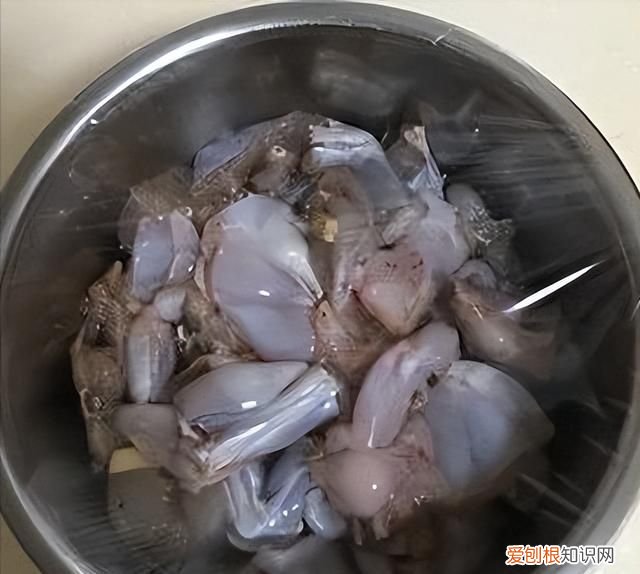 吃牛蛙要煮多久才可以把寄生虫煮死