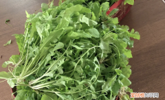 吃牛蛙要煮多久才可以把寄生虫煮死