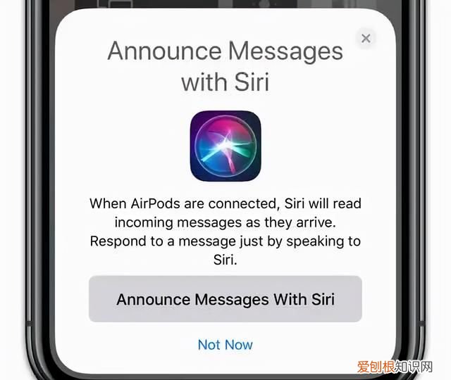 ios 15再曝光这些功能真的很实用
