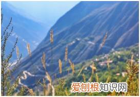 浮云牧场在四川哪里