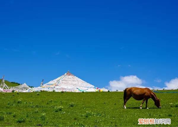 浮云牧场在四川哪里