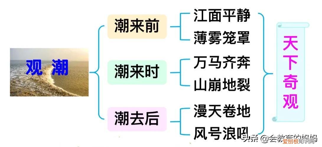 观潮课堂笔记
