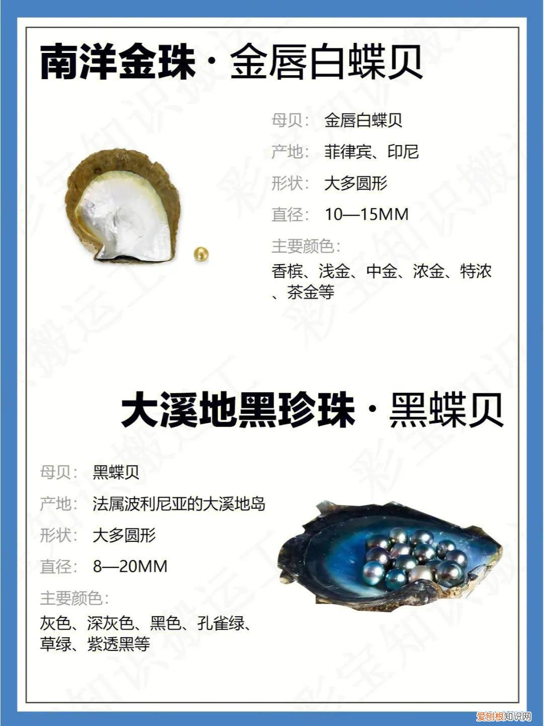 海水珍珠和淡水珍珠的区别