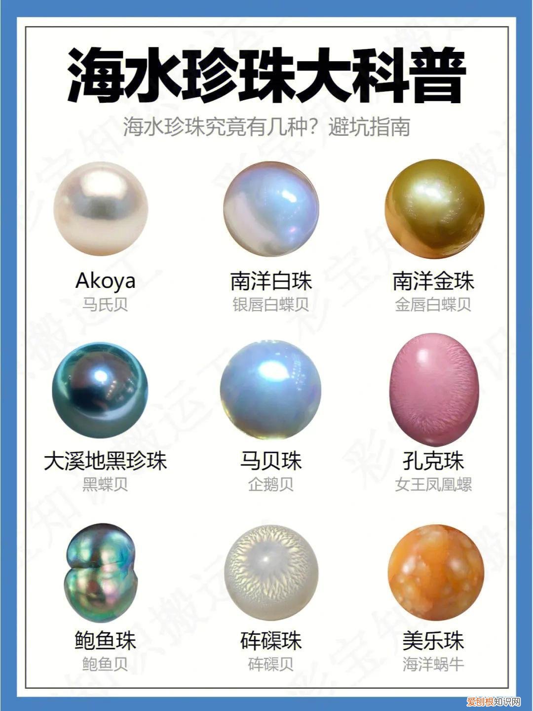 海水珍珠和淡水珍珠的区别