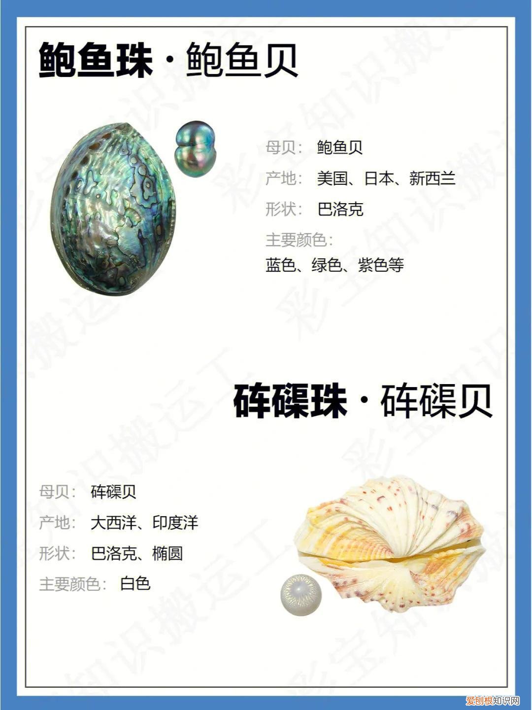 海水珍珠和淡水珍珠的区别