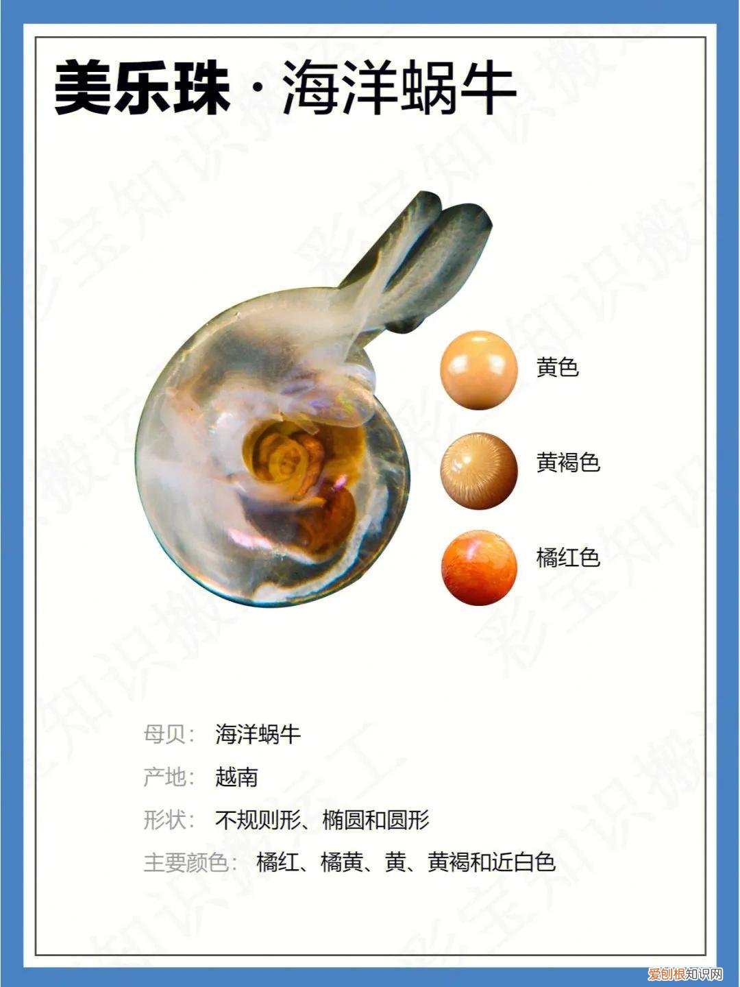 海水珍珠和淡水珍珠的区别