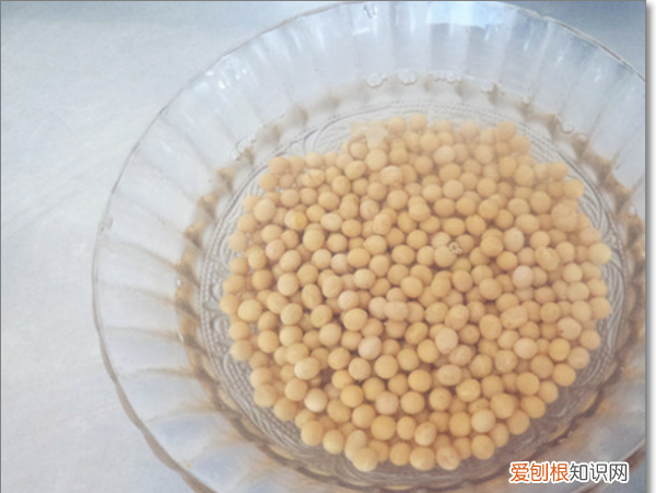 黄豆酱的制作方法，豆酱的制作方法和配方