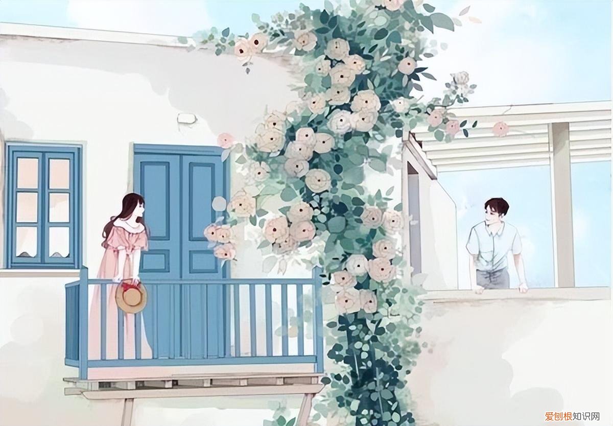 婚后小说暮阿洋