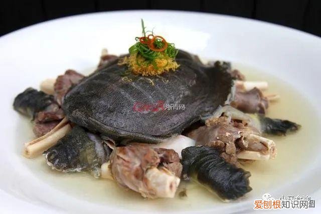 清蒸鱼的做法大全家常菜