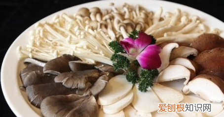 煮熟菌类可以隔夜吃，煮好的蘑菇隔夜能吃吗