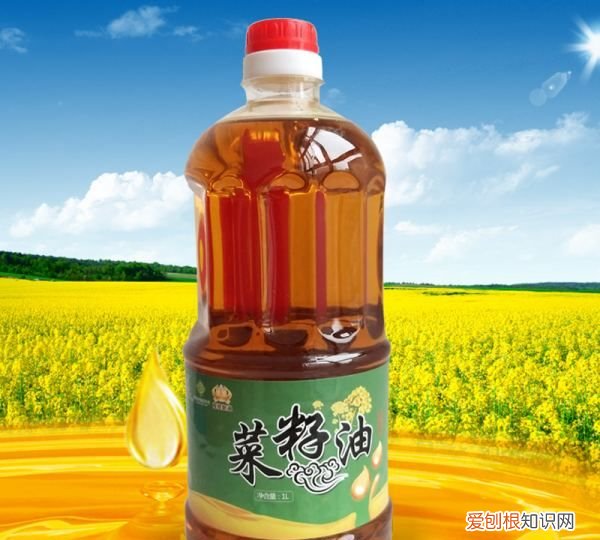 自己压榨菜籽油放0年能吃，放了0多年的菜籽油还可以吃吗