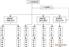 人力资源学什么专业