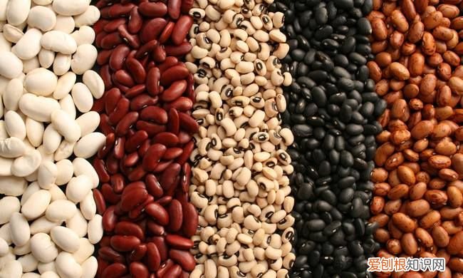 豆类品种，豆类有哪几种