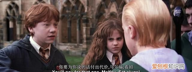 哈利波特赫敏为什么会喜欢罗恩