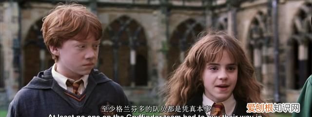 哈利波特赫敏为什么会喜欢罗恩