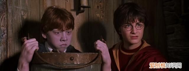 哈利波特赫敏为什么会喜欢罗恩