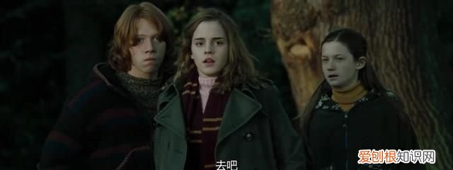 哈利波特赫敏为什么会喜欢罗恩