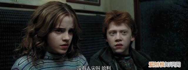 哈利波特赫敏为什么会喜欢罗恩