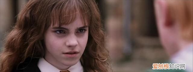 哈利波特赫敏为什么会喜欢罗恩