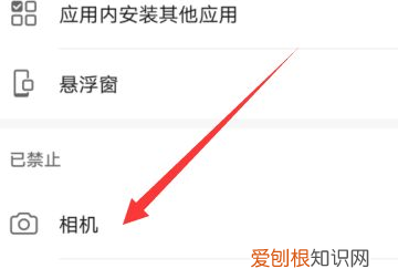 钉钉怎么设置摄像头权限，钉钉如何开摄像头和麦克风
