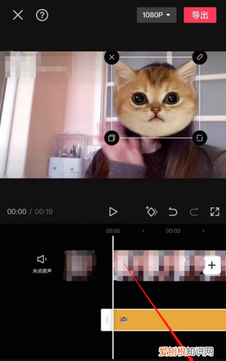 剪映贴纸怎么跟随脸走，怎样在视频上加贴纸跟着人走
