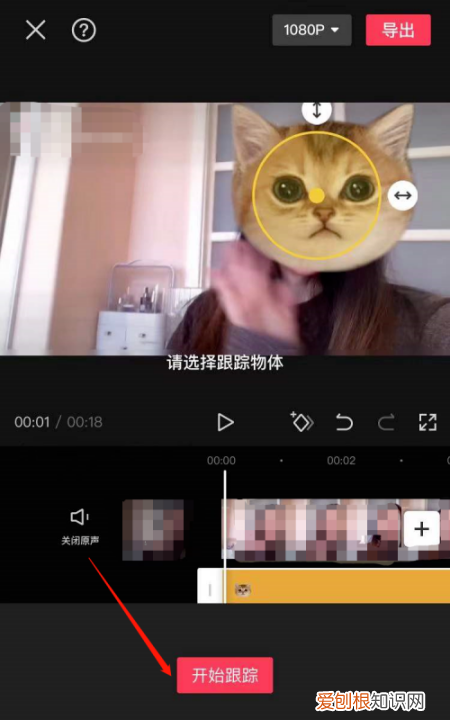 剪映贴纸怎么跟随脸走，怎样在视频上加贴纸跟着人走