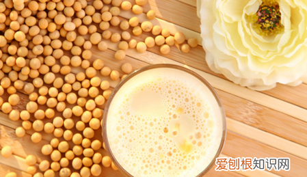 豆奶怎么做的,绝毛液怎么做