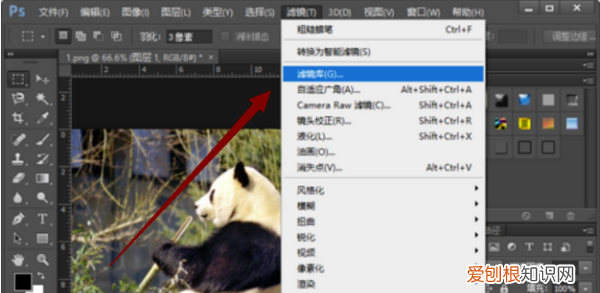 PS油画效果应该怎么做，ps 设计如何使具有油画效果