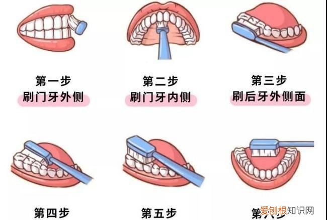刷牙的方法，刷牙的正确方式出自哪本书