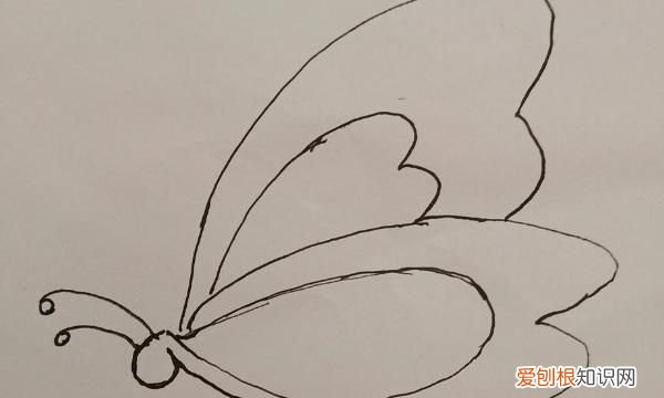 翅膀的简笔画怎么画，飞舞的蝴蝶简笔画怎么画