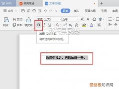 wps如何审批改字体，WPS字体应该如何才可以安装
