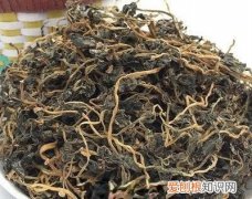 蒲公英的保存方法，蒲公英怎么保存才能不生虫