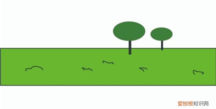 草坪简笔画怎么画，春天的草坪简笔画