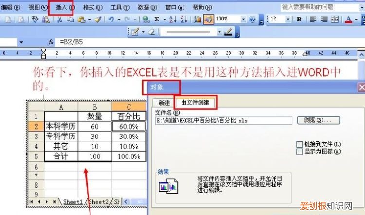 Word应该怎么才可以插入Excel