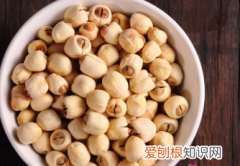 干莲子要泡多久，干百合莲子泡多久比较好